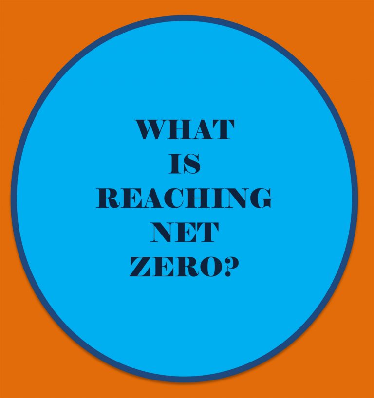 What is Reaching Net Zero?