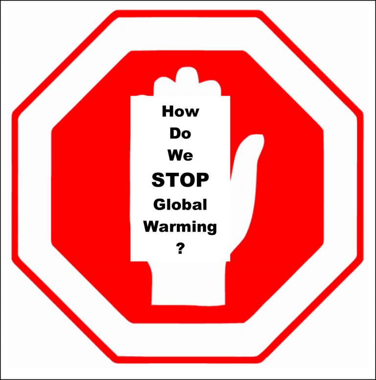 How Do We Stop Global Warming?